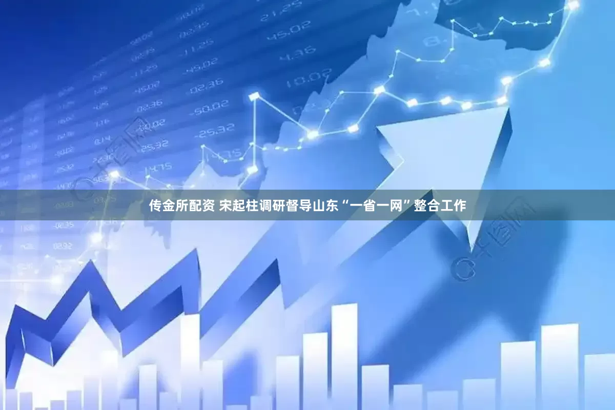 传金所配资 宋起柱调研督导山东“一省一网”整合工作
