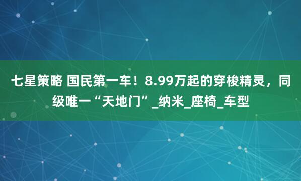 七星策略 国民第一车！8.99万起的穿梭精灵，同级唯一“天地门”_纳米_座椅_车型