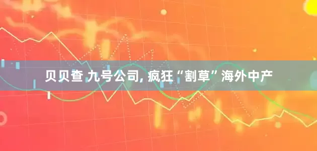 贝贝查 九号公司, 疯狂“割草”海外中产
