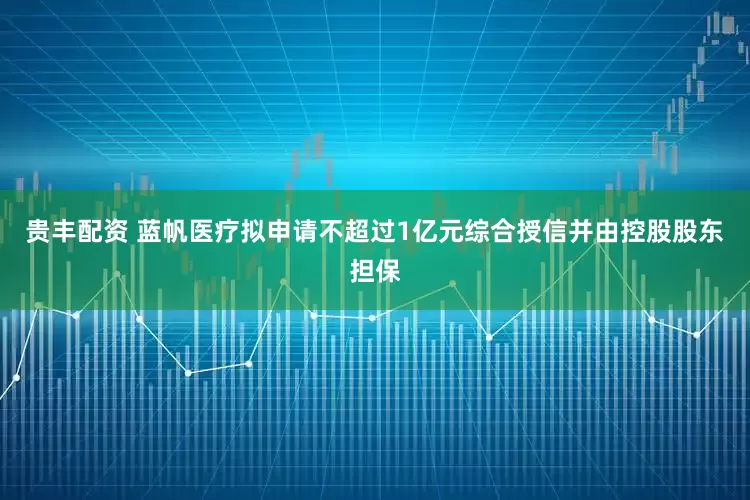 贵丰配资 蓝帆医疗拟申请不超过1亿元综合授信并由控股股东担保